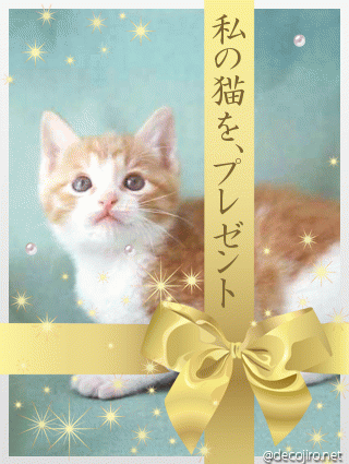 プレゼント - プレゼント猫