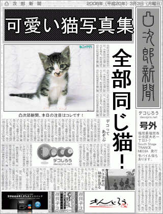 新聞 - 全部同じ猫しか写ってない・・・。