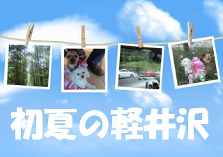 空の写真 - 初夏の軽井沢