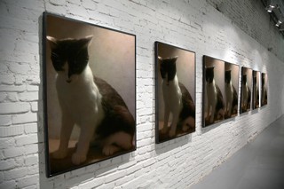 美術館 - 白黒猫のパンちゃん