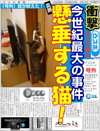 スポーツ新聞 - ドアにぶらさがるうちの猫、ぐらでーす♪