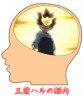 三浦ハルの脳内画像