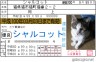 猫の免許証画像