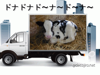 トラック - 子牛を乗せて