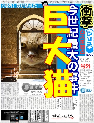 スポーツ新聞 - 猫