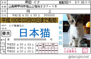 免許証 - 日本猫免許証