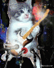 ギターのニーコ画像