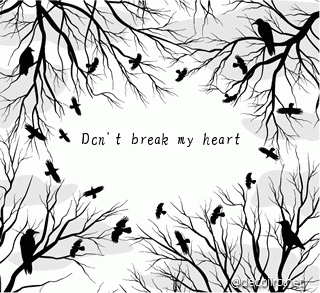 カラス - Don't break my heart
