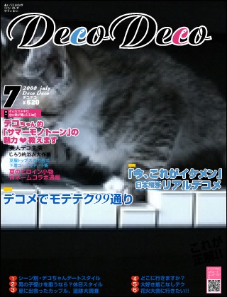 ファッション誌 - ピアノを弾く猫