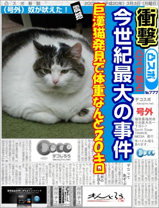 スポーツ新聞 -  巨漢猫発見で体重なんと２０キロ
