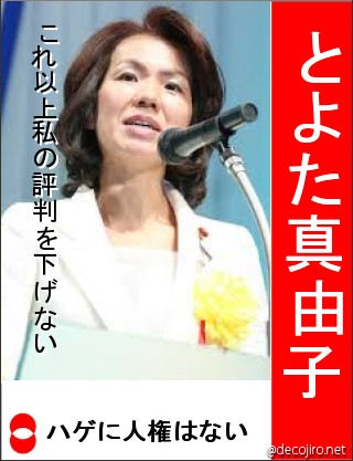 選挙風ポスター - T田M子議員