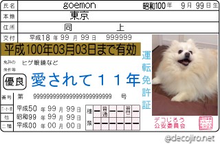 免許証 - goemon,東京,愛されて１１年