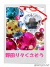 野田リク　海南汚物　おいでよのだけんま 恒心教和歌山　沖野々524-1 野田リク　海南汚物　おいでよ画像