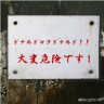ドナルドのうわさ画像