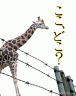 動物園に戻って下さい。