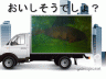 魚です。