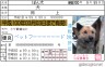 い、、、犬？