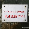きゃーヨン様ー！（裏声）
